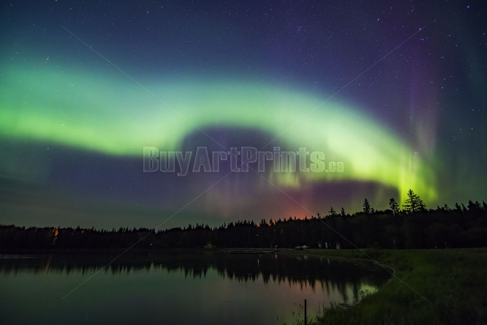 _DSC9792.jpg Clear Lake aurora borealis,canada,clear lake,green,northern lights,rob lovatt,stars,trees,wasagaming,water,