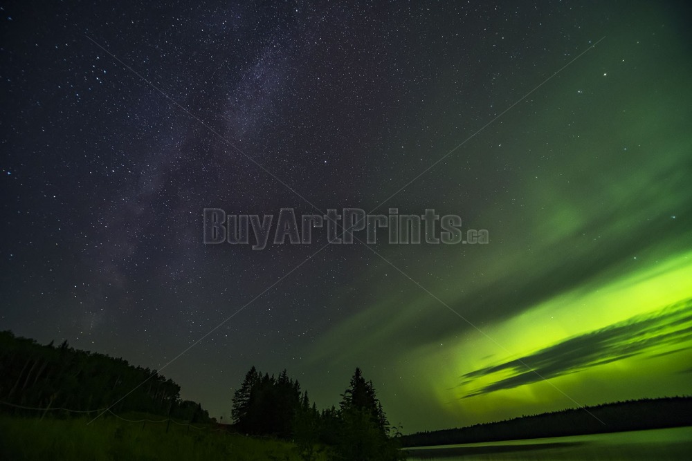 _DSC9850.jpg Clear Lake aurora borealis,canada,clear lake,green,milky way,northern lights,rob lovatt,stars,trees,wasagaming,