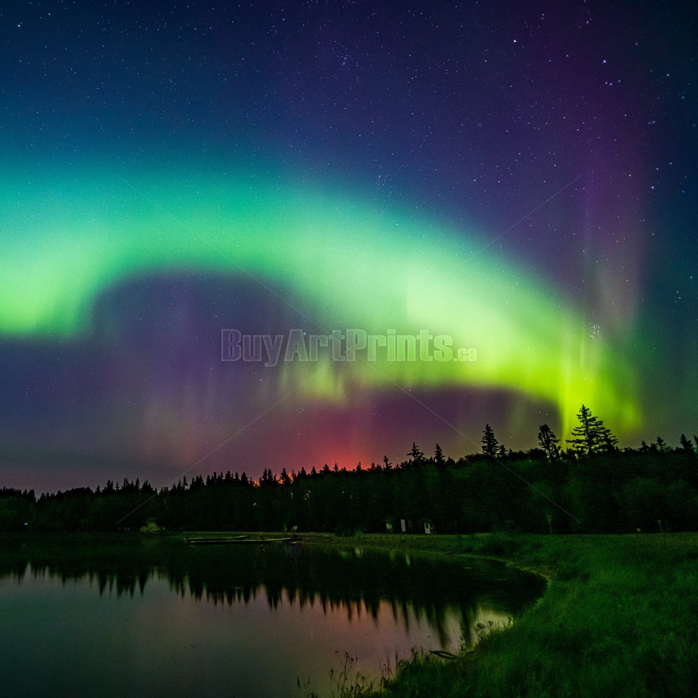 Night Sky